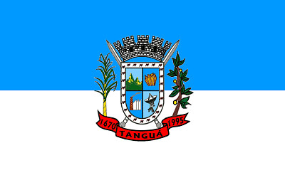Bandeira do município de Tanguá jigsaw puzzle