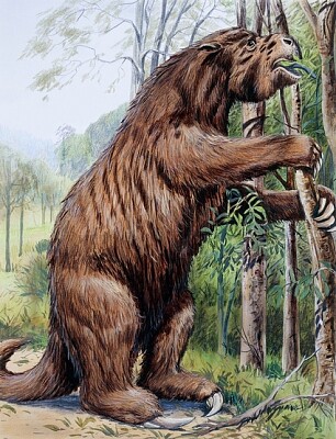 Megatherium jigsaw puzzle