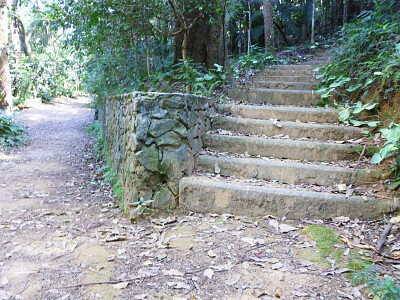 Burle Marx Park - São Paulo