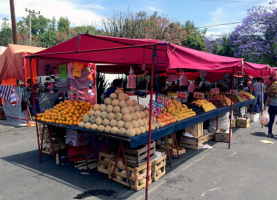 199.- TIANGUIS CONDEZA