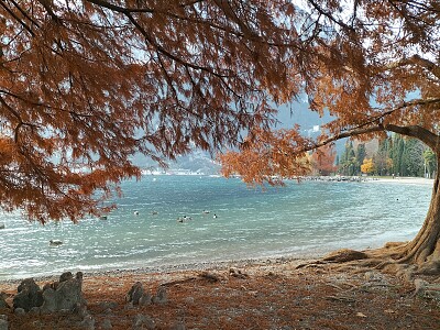 Riva del garda jigsaw puzzle