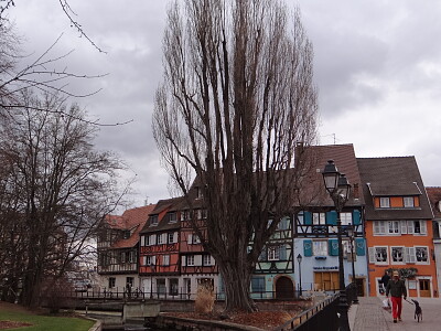 Colmar França