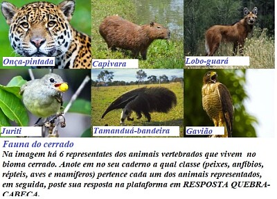 פאזל של Animais vertebrados do Cerrado