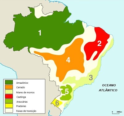 Domínios morfoclimáticos