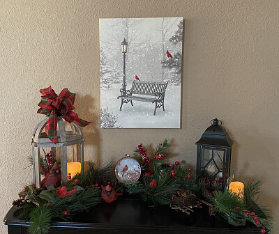 Winter Decor