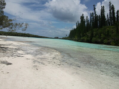 Ile des pins