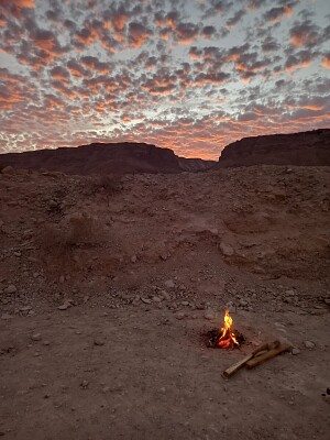 פאזל של near mesada