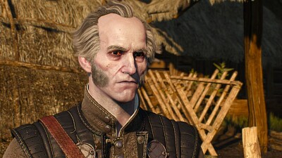 פאזל של the witcher