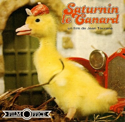 Saturnin