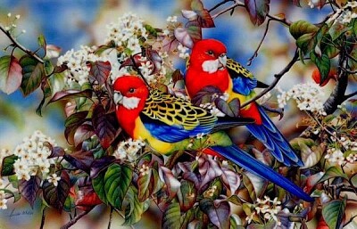 oiseau jigsaw puzzle