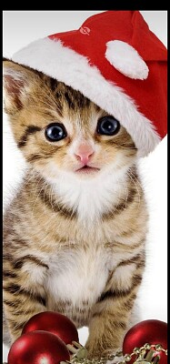 Christmas kitten jigsaw puzzle