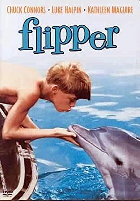 פאזל של Flipper le dauphin