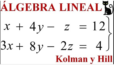 Sistema de ecuaciones 2x3