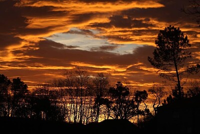 Coucher du Soleil - Landes