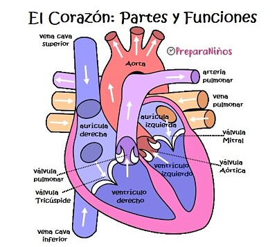 Corazón jigsaw puzzle