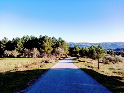 פאזל של NATURALEZA