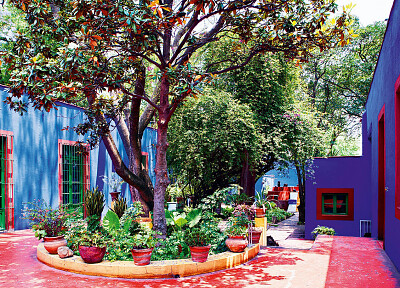 226.- COYOACAN CDMX jigsaw puzzle