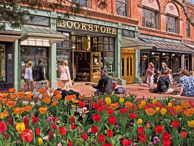 bookstore jigsaw puzzle