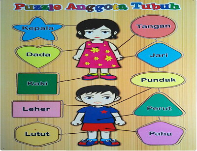 Anatomi Tubuh jigsaw puzzle