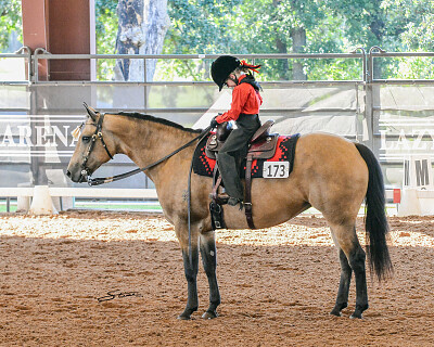 2018 Western Dressage World Championship Show