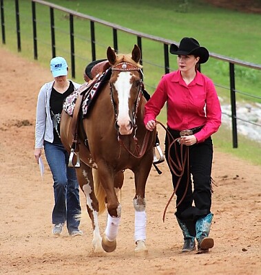 Western Dressage World Championship Show jigsaw puzzle