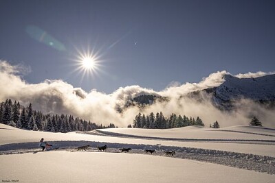 Savoie- la grande odyssée