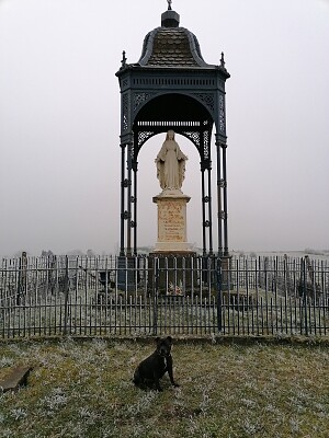 Dog and Sainte marie