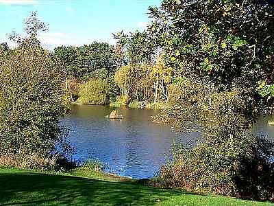 Osborne 's Pond Shipley