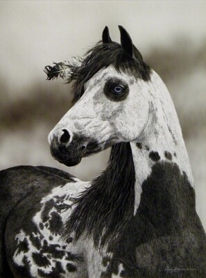 Painted Horse