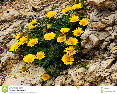 imagem jigsaw puzzle