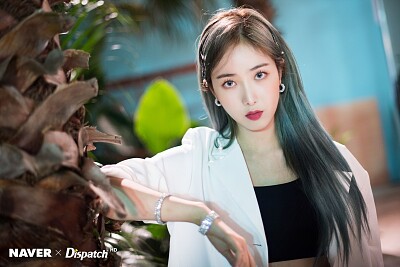 SinB Fever jigsaw puzzle