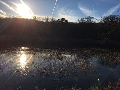 Etang Hauts de Seine