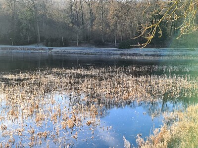 Etang Hauts de Seine