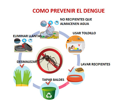 dengue2