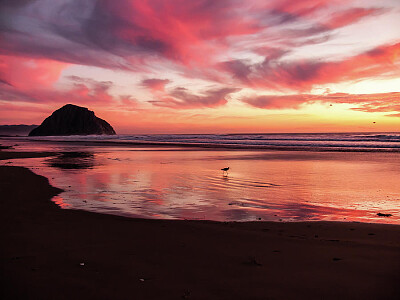 פאזל של Morro Bay