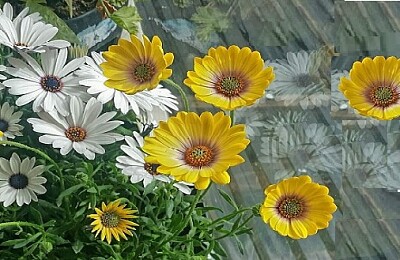 a jigsaw puzzle