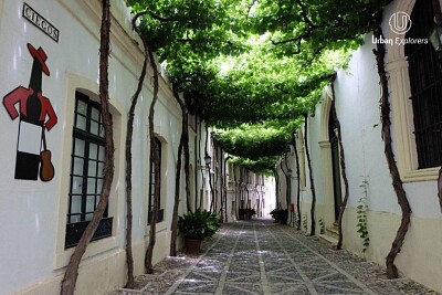 Bodega Tío Pepe