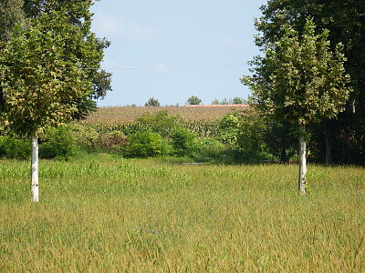 custodi della campagna