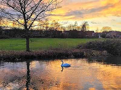 פאזל של Sunset on the Erewash Canal