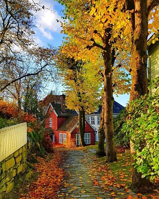 Bergen-Noruega jigsaw puzzle