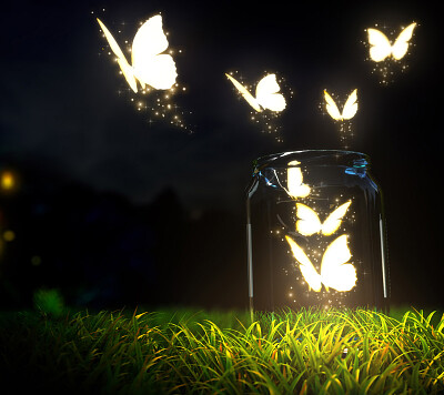 פאזל של Bright Butterflies