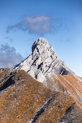 Savoie