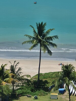 פאזל של Maceió Alagoas-Brasil