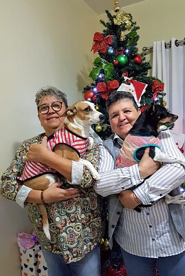 Natal em Família