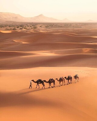 DESERTO?