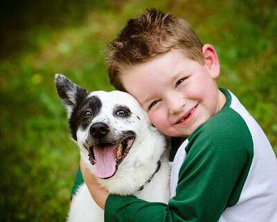 amor e cuidados aos animais