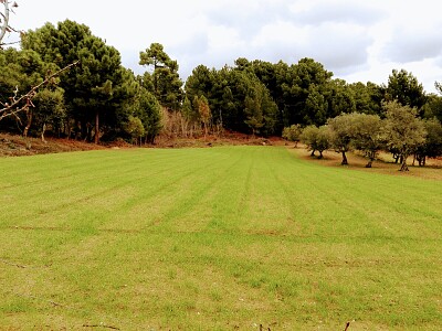 פאזל של NATURALEZA