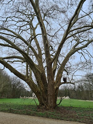 פאזל של Parc Hauts de Seine