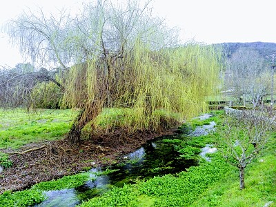 פאזל של NATURALEZA