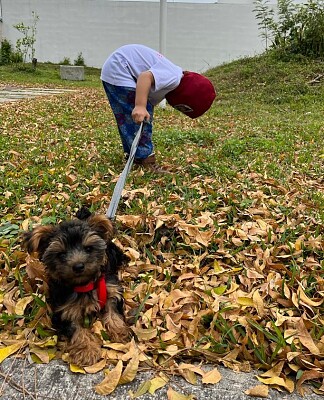 MATHY Y ROBIN